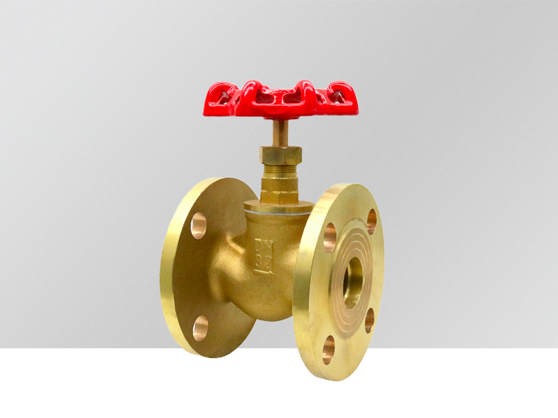 Globe Isolation Valves